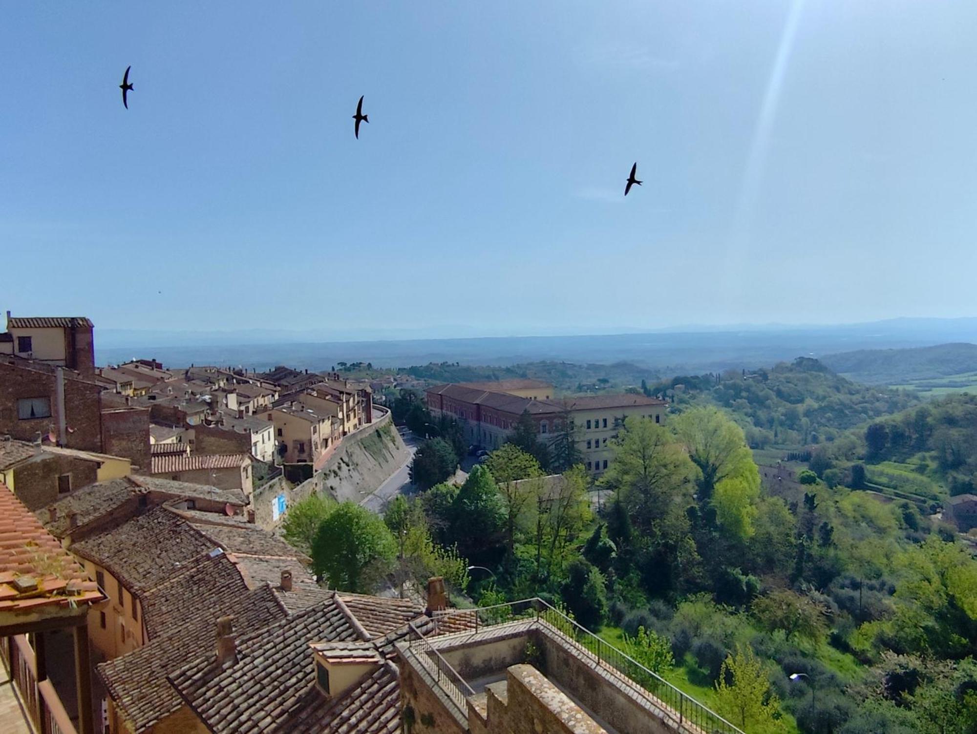 Dimora Dell'Erbe Apartment Montepulciano Stazione エクステリア 写真